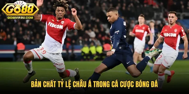ban-chat-ty-le-chau-a-trong-ca-cuoc-bong-da