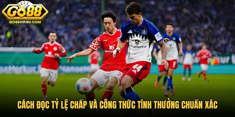 cach-doc-ty-le-chap-va-cong-thuc-tinh-thuong-chuan-xac