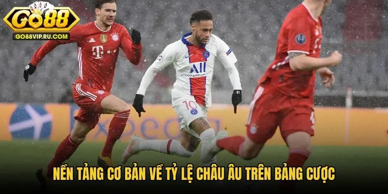 nen-tang-co-ban-ve-ty-le-chau-au-tren-bang-cuoc nen-tang-co-ban-ve-ty-le-chau-au-tren-bang-cuoc